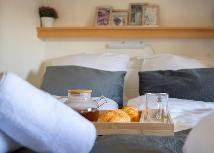 Bicycle Storage - Close To Efteling & Safaripark Beekse Bergen & Parking! Chalet *